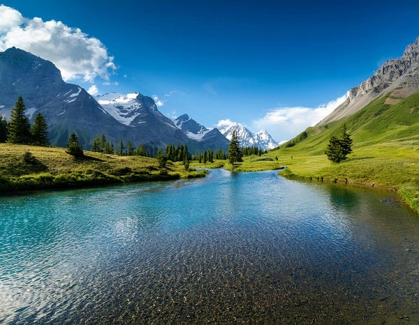 Guide Ultime des Croisières en Arctique : Comparez et Choisissez Votre Aventure Polaire