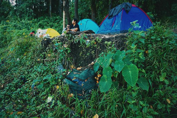 L'Essor des Campings Municipaux : Un Pilier Incontournable du Tourisme en France