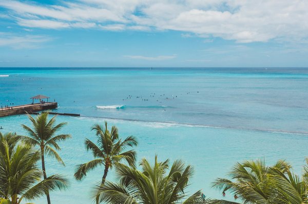 Le Guide Ultime des Campings-Caravanes Pet-Friendly: Accueillez Vos Compagnons à Quatre Pattes