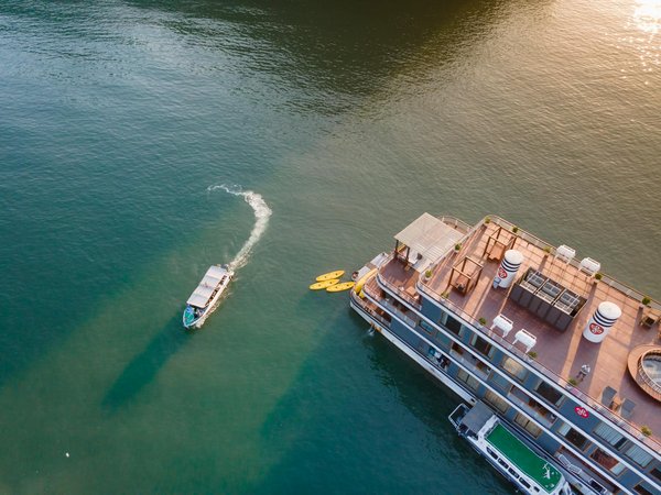 Escales de Croisière Idéales pour les Passionnés de Nature : Découvrez des Havres Écologiques